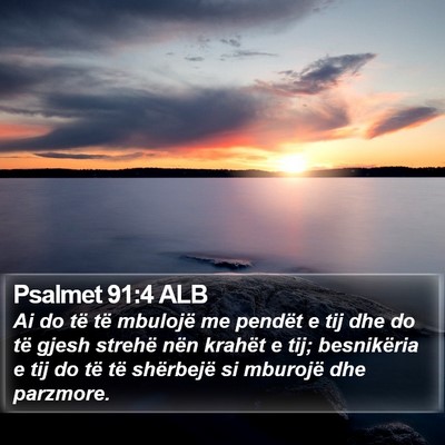 Psalmet 91:4 ALB Bible Verse Image