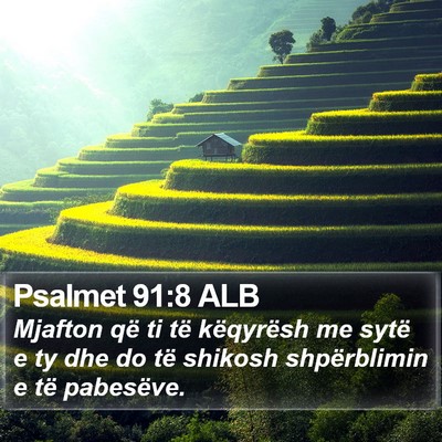 Psalmet 91:8 ALB Bible Verse Image