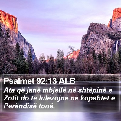 Psalmet 92:13 ALB Bible Verse Image