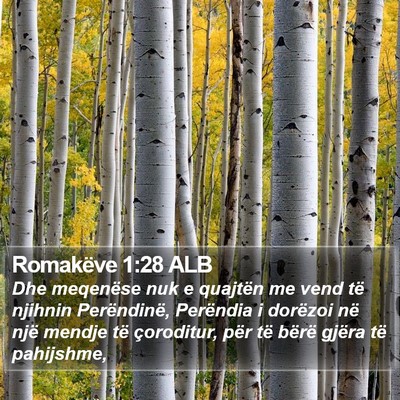 Romakëve 1:28 ALB Bible Verse Image