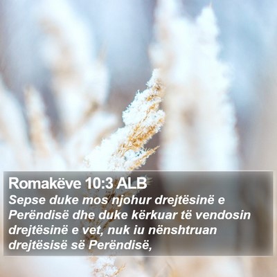 Romakëve 10:3 ALB Bible Verse Image