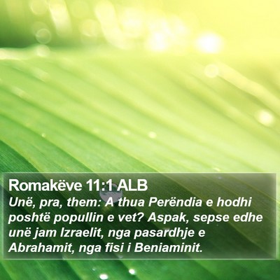 Romakëve 11:1 ALB Bible Verse Image