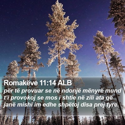 Romakëve 11:14 ALB Bible Verse Image