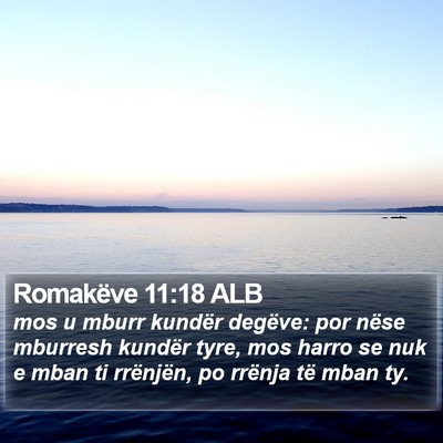 Romakëve 11:18 ALB Bible Verse Image