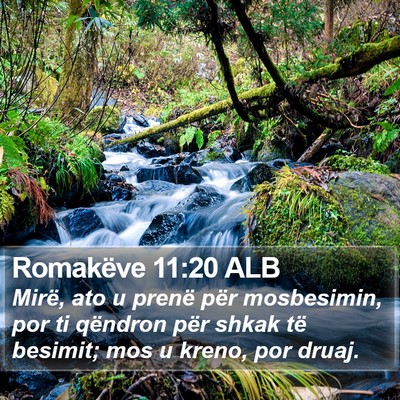Romakëve 11:20 ALB Bible Verse Image