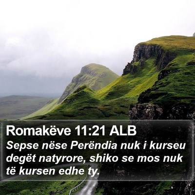 Romakëve 11:21 ALB Bible Verse Image