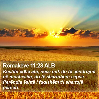 Romakëve 11:23 ALB Bible Verse Image