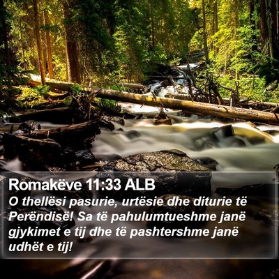 Romakëve 11:33 ALB Bible Verse Image