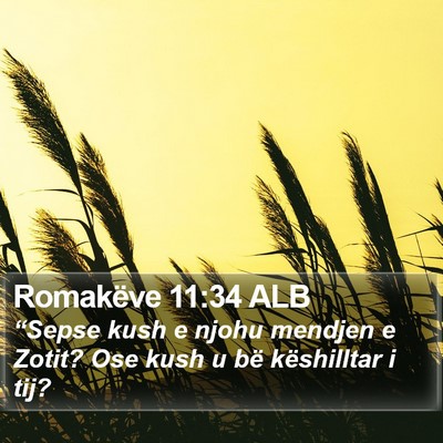 Romakëve 11:34 ALB Bible Verse Image
