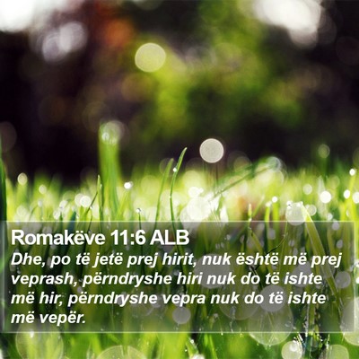 Romakëve 11:6 ALB Bible Verse Image