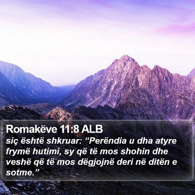 Romakëve 11:8 ALB Bible Verse Image