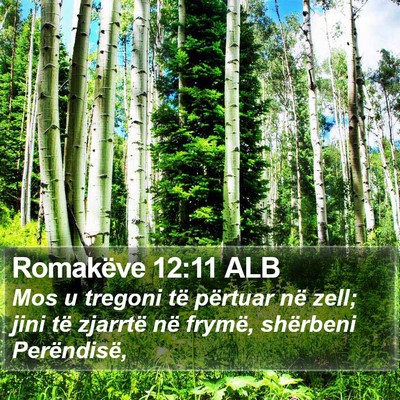 Romakëve 12:11 ALB Bible Verse Image