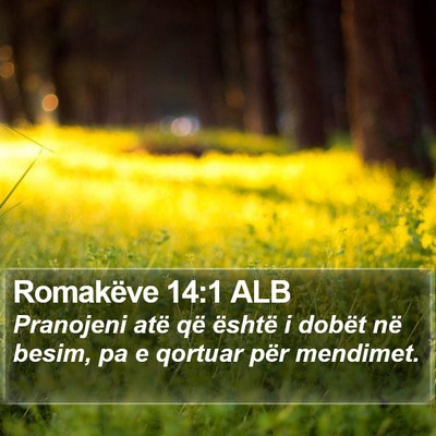 Romakëve 14:1 ALB Bible Verse Image