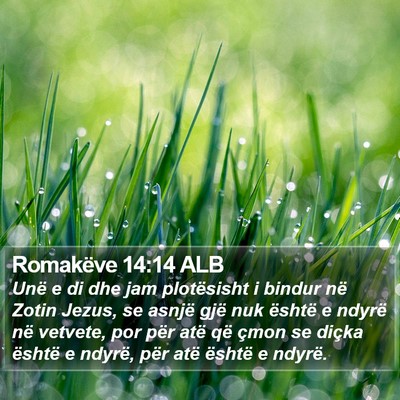 Romakëve 14:14 ALB Bible Verse Image