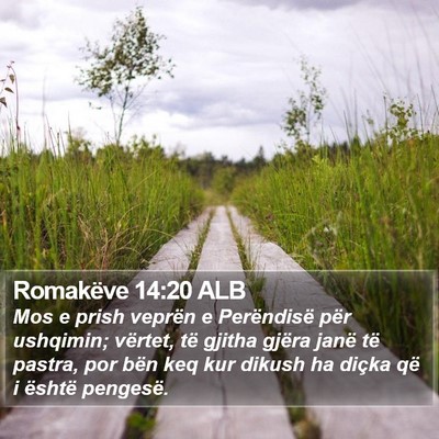 Romakëve 14:20 ALB Bible Verse Image
