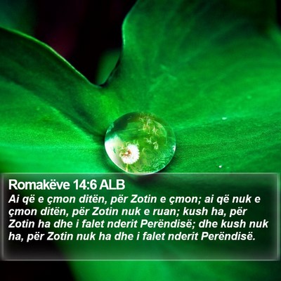 Romakëve 14:6 ALB Bible Verse Image