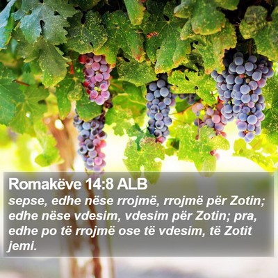 Romakëve 14:8 ALB Bible Verse Image