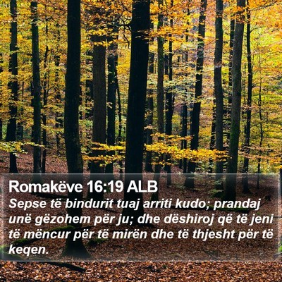 Romakëve 16:19 ALB Bible Verse Image