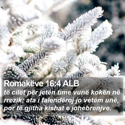 Romakëve 16:4 ALB Bible Verse Image