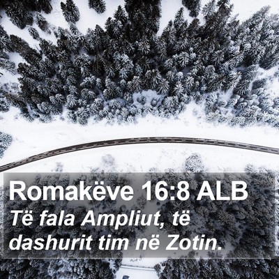 Romakëve 16:8 ALB Bible Verse Image