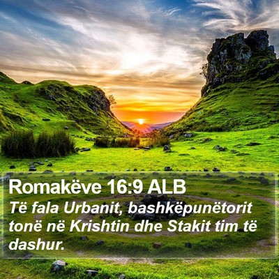 Romakëve 16:9 ALB Bible Verse Image