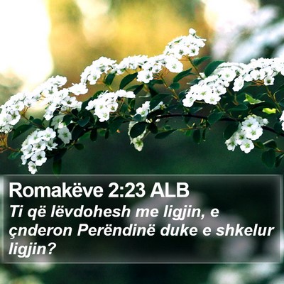 Romakëve 2:23 ALB Bible Verse Image
