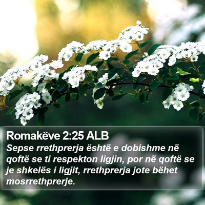 Romakëve 2:25 ALB Bible Verse Image
