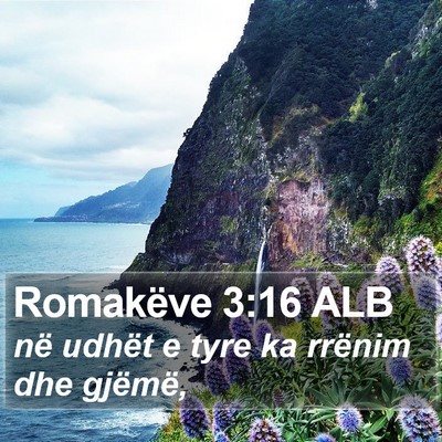 Romakëve 3:16 ALB Bible Verse Image