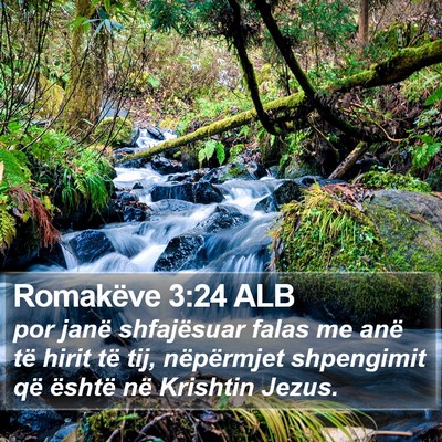 Romakëve 3:24 ALB Bible Verse Image