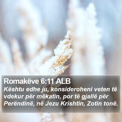 Romakëve 6:11 ALB Bible Verse Image