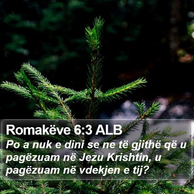 Romakëve 6:3 ALB Bible Verse Image