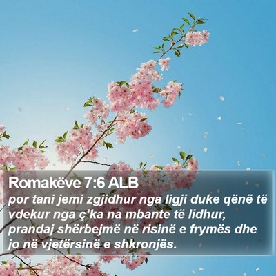 Romakëve 7:6 ALB Bible Verse Image