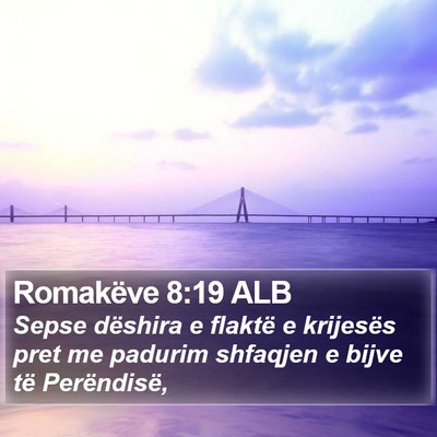 Romakëve 8:19 ALB Bible Verse Image