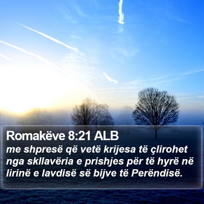 Romakëve 8:21 ALB Bible Verse Image