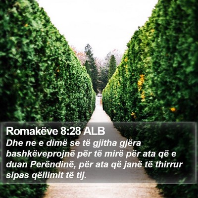Romakëve 8:28 ALB Bible Verse Image