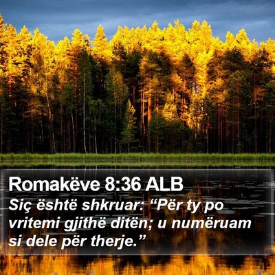 Romakëve 8:36 ALB Bible Verse Image