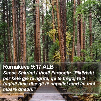 Romakëve 9:17 ALB Bible Verse Image