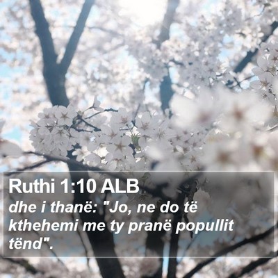 Ruthi 1:10 ALB Bible Verse Image