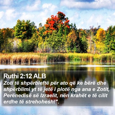 Ruthi 2:12 ALB Bible Verse Image