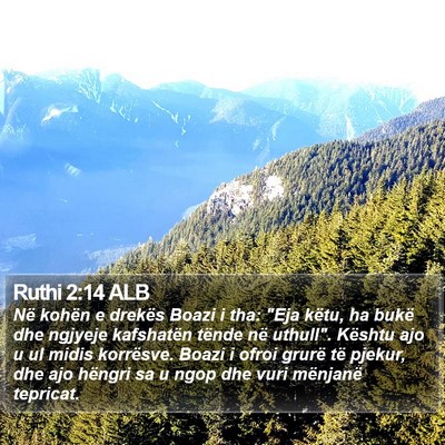 Ruthi 2:14 ALB Bible Verse Image