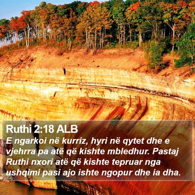Ruthi 2:18 ALB Bible Verse Image