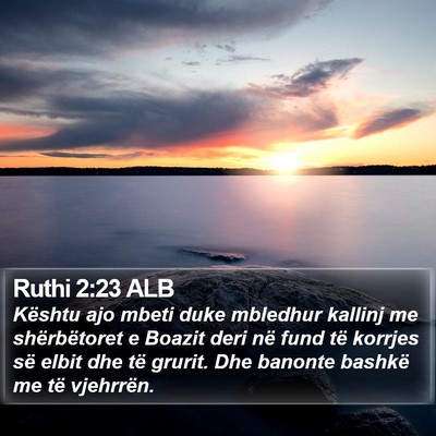 Ruthi 2:23 ALB Bible Verse Image