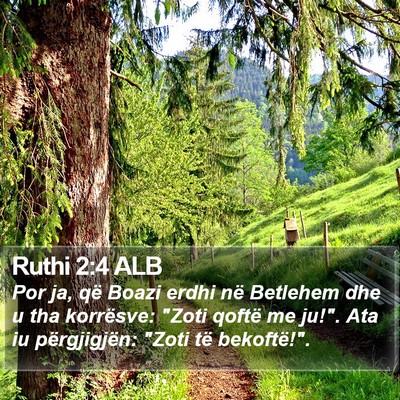 Ruthi 2:4 ALB Bible Verse Image