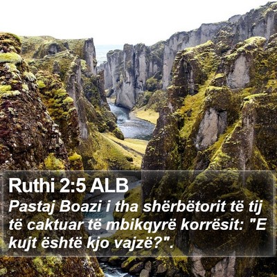 Ruthi 2:5 ALB Bible Verse Image