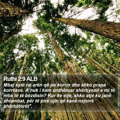 Ruthi 2:9 ALB Bible Verse Image