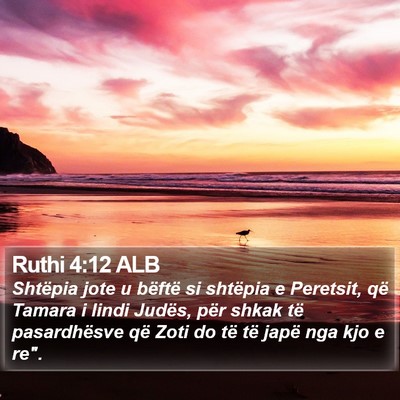 Ruthi 4:12 ALB Bible Verse Image