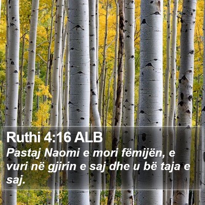 Ruthi 4:16 ALB Bible Verse Image