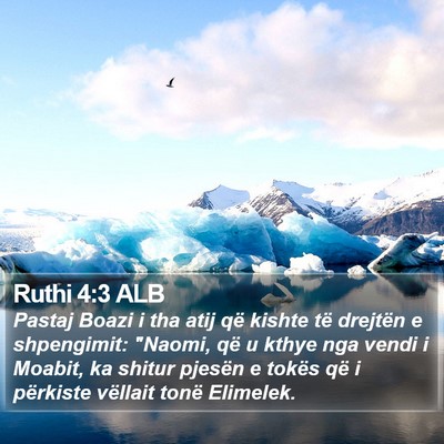 Ruthi 4:3 ALB Bible Verse Image