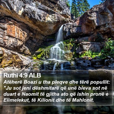 Ruthi 4:9 ALB Bible Verse Image
