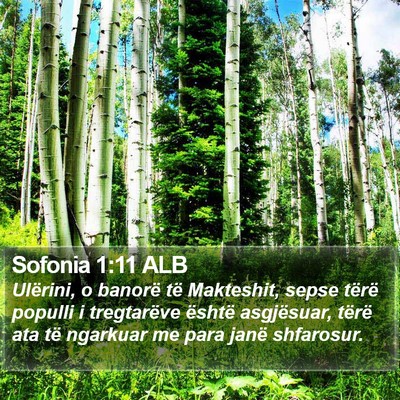 Sofonia 1:11 ALB Bible Verse Image